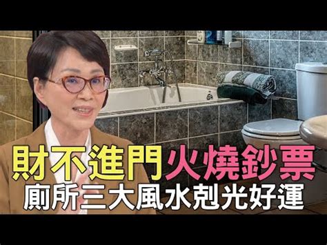 廁所放黃金葛作用|【專業指南】黃金葛廁所這樣擺，化解煞氣、保佑平安 